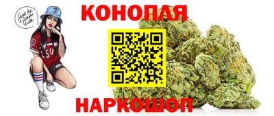 Альфа ПВП Лесосибирск