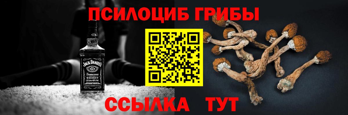 Псилоцибиновые грибы мухоморы  Вход с VPN  наркота  Карталы 